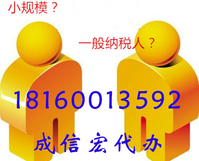 小規模納稅人申報納稅