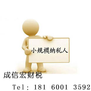 小規模納稅人要滿足哪些條件